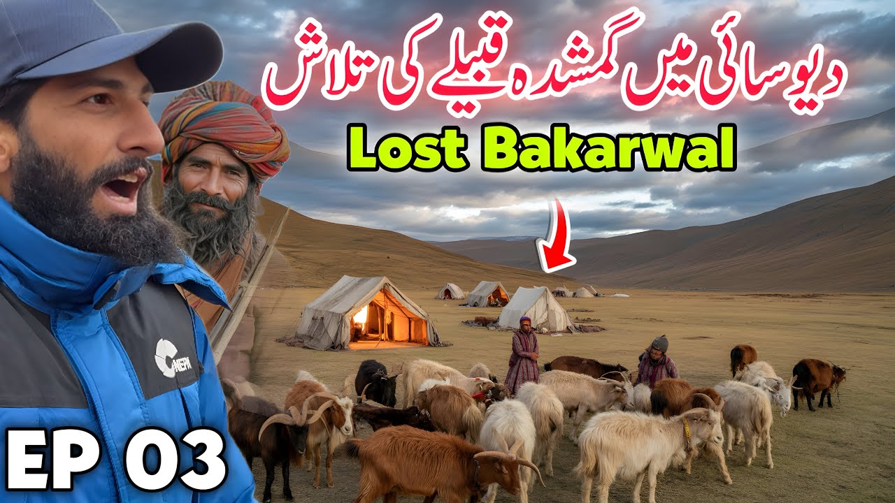 Lost Bakarwal Tribe in Deosai 😱 Hidden Nomads of Pakistan | Deosai Secrets EP 03