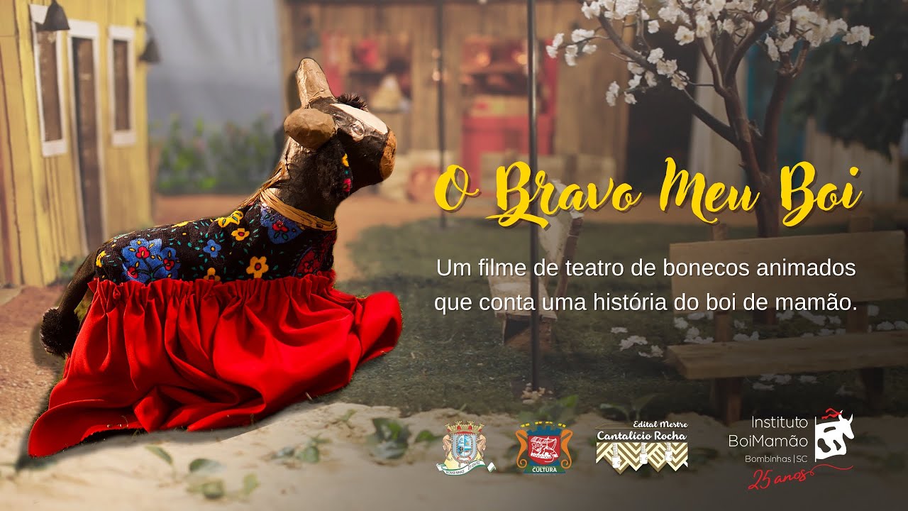 O BRAVO MEU BOI