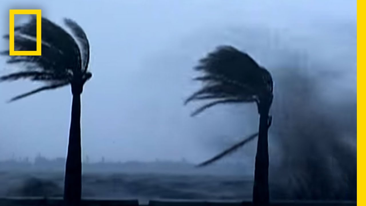Hurricane Surge | National Geographic