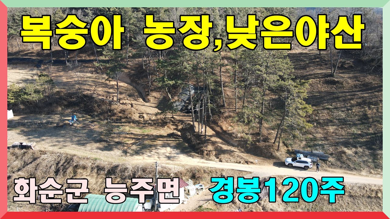 복숭아농장,낮은 야산 매매 / 화순군 능주면 원지리 토지면적 : 7729제곱(2338평) 매매가 3억6000만원