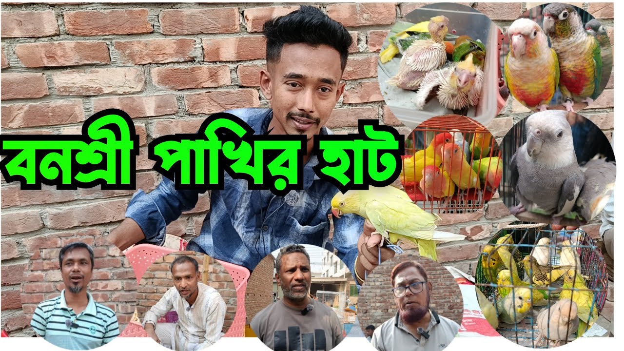 বনশ্রী পাখির হাট ২০০ টাকা থেকে হাজার টাকার পাখি Bird price in Bangladesh || Meradia pakhir hat