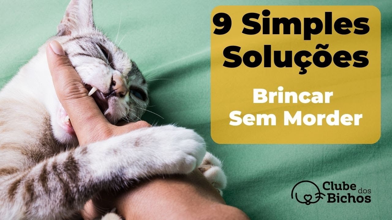 ☹️ O que fazer com GATO QUE MORDE MUITO ?  [ 9 SOLUÇÕES PRÁTICAS ] ❤️