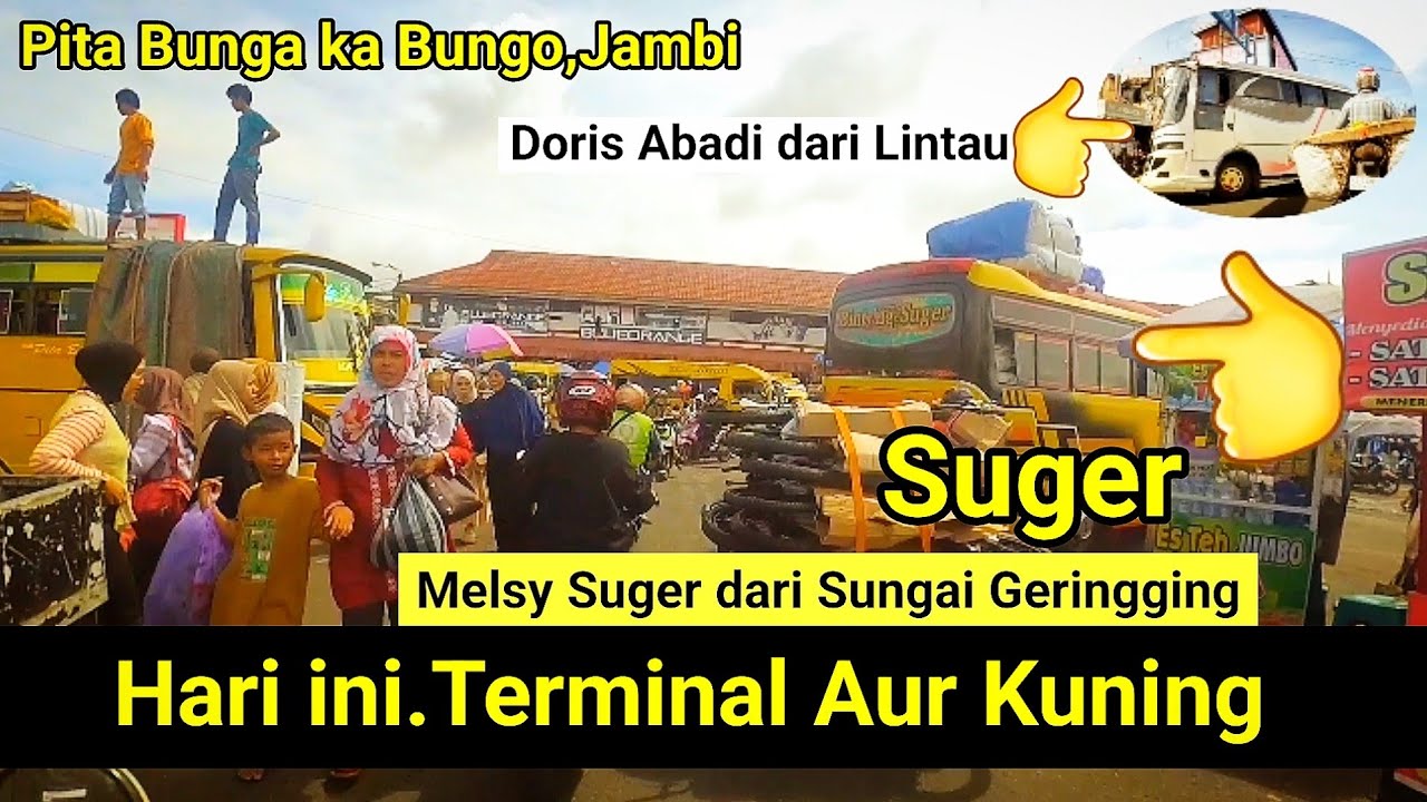 Melsy SUGER & ,doris abadi legend dari lintau masuk terminal aur kuning