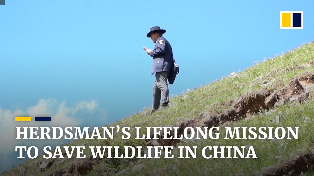 Herdsman devotes his life to ecology and wildlife conservation in northwestern China