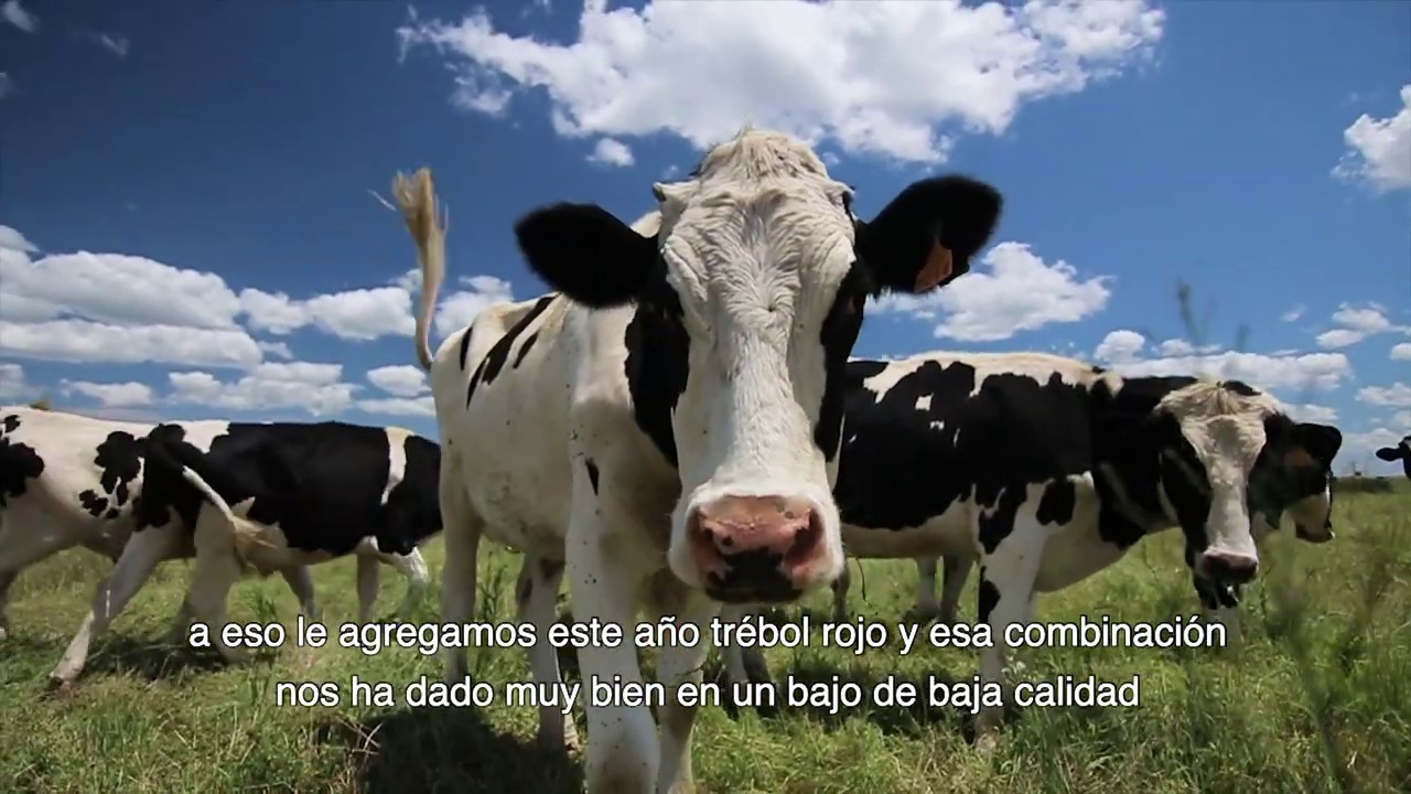 Prosumidores de Pasto_Sergio Jorajuría, productor agropecuario Colonia