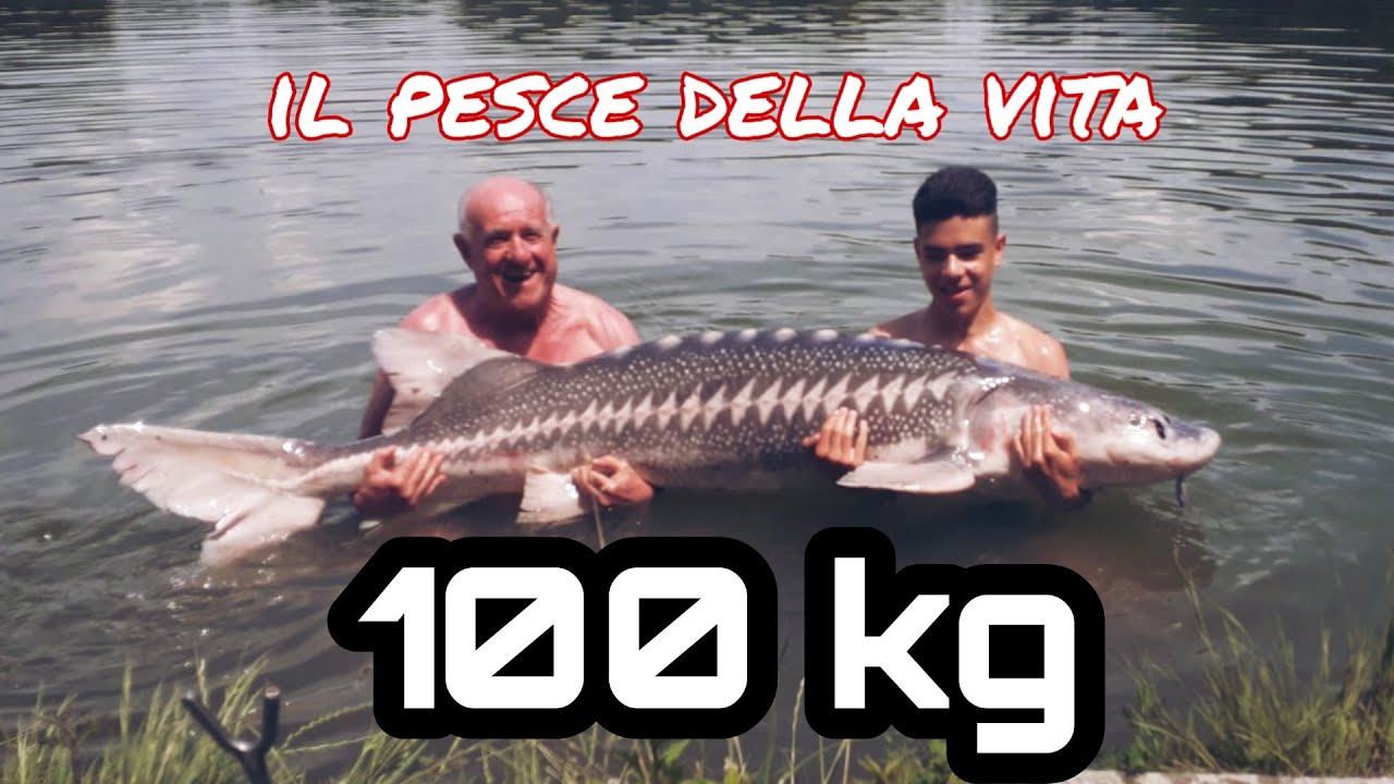LO STORIONE GIGANTE da 100 kg dei LAGHI DI TUNA