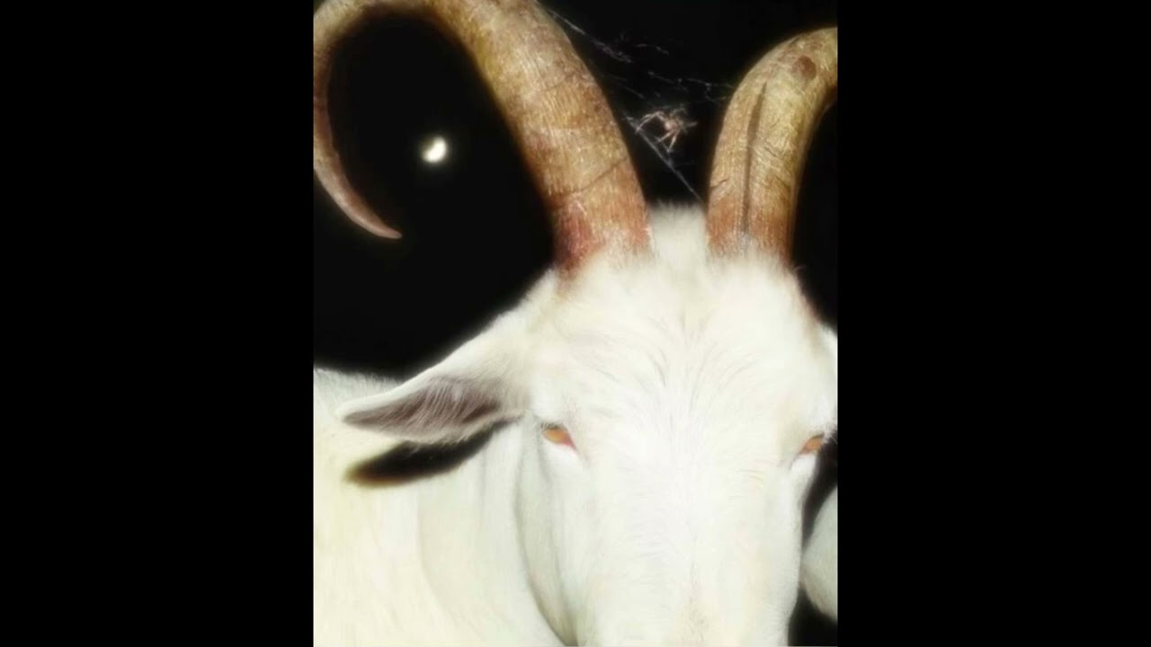 (free) lifelessgarments x rollin thrax x hardrock type beat