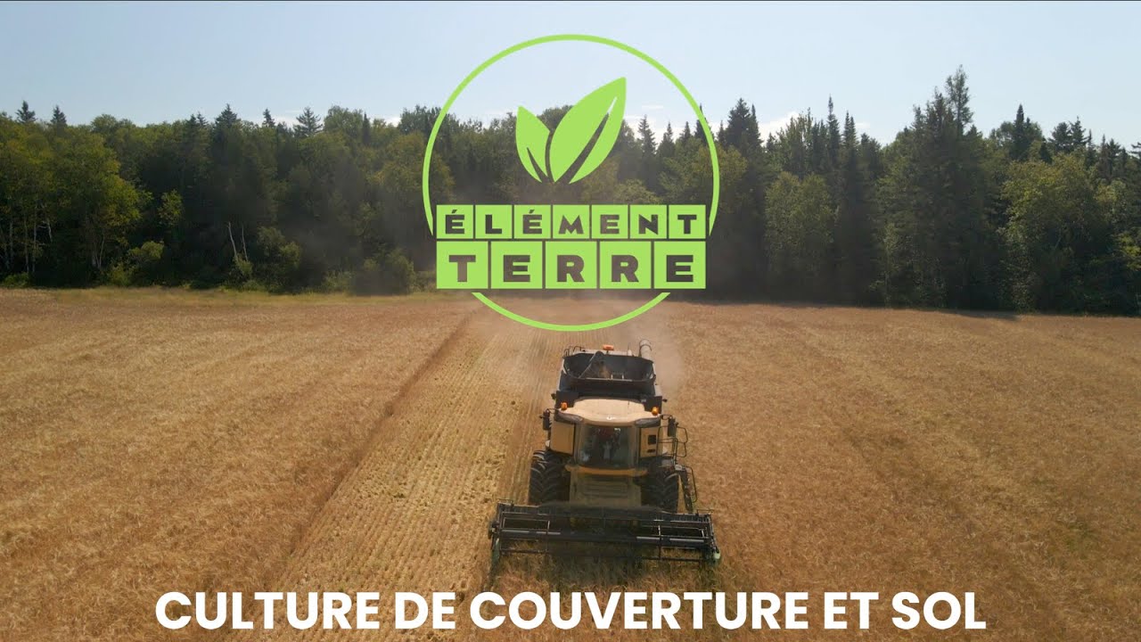 Élément Terre : Culture de couverture et sol