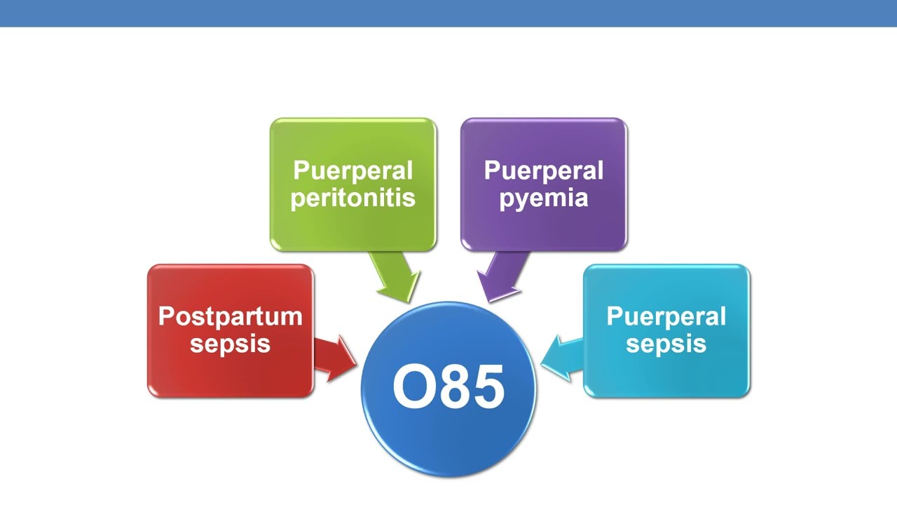 2023 icd 10cm coding guidelines for chapter 15  Pregnancy, childbirth & puerperium part 5