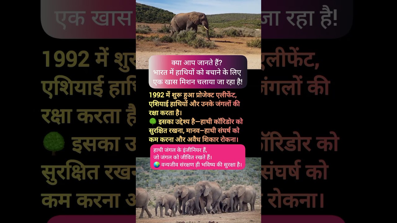 Project Elephant 🐘 | हाथी बचाओ, जंगल बचाओ | Wildlife Conservation India
