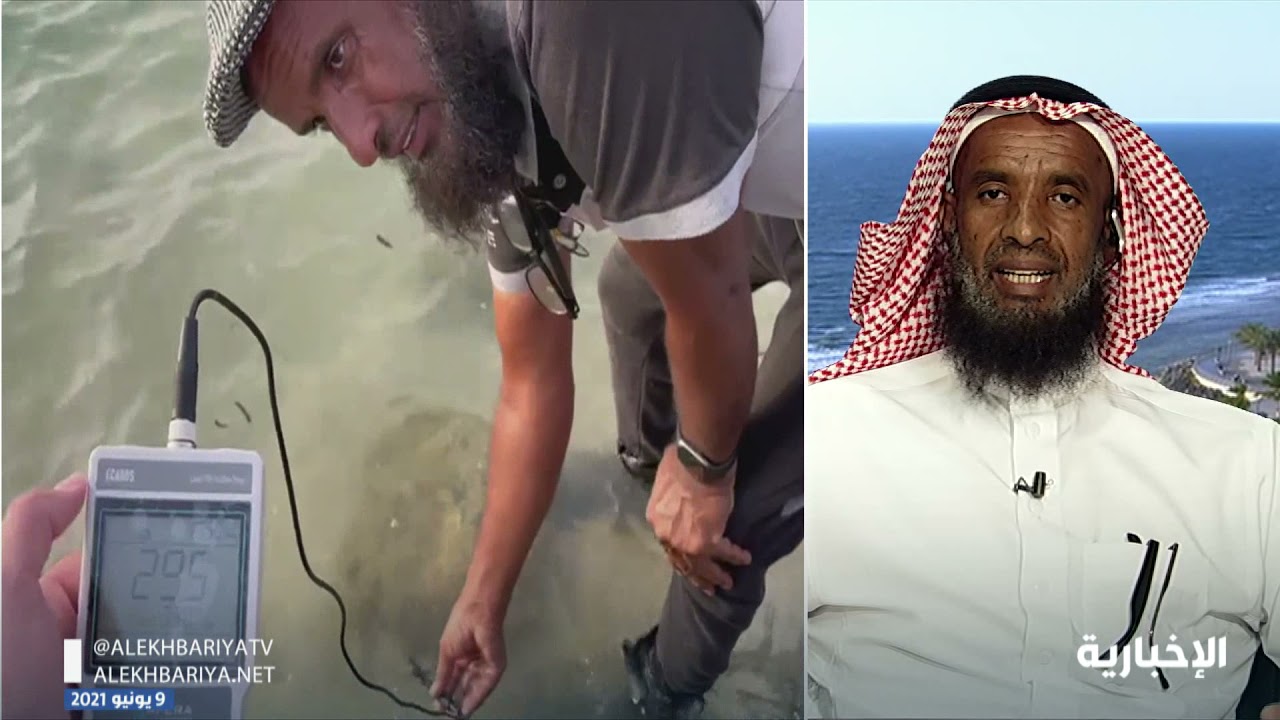 مواطن يحول مزرعته من أرض جافة وخالية من الحياة إلى واحة خضراء بمياه البحر المالحة