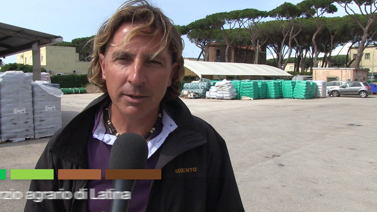 Velum Prime la soluzione contro i nematodi - Tecnici