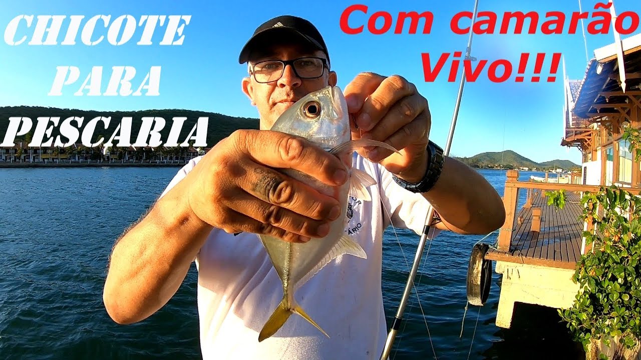 Chicote para pescaria com camarão vivo!!!!