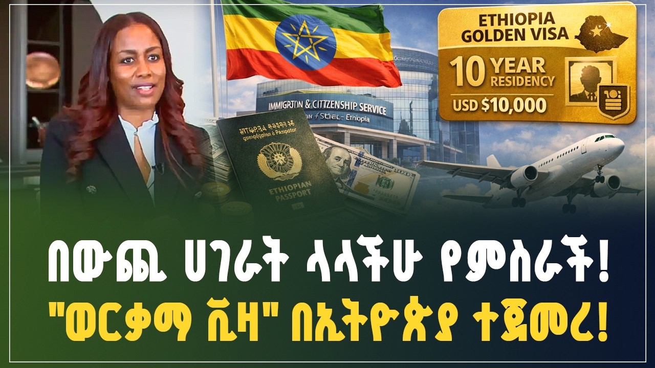 ለዲያስፖራው የተዘጋጀ ሲሳይ! 