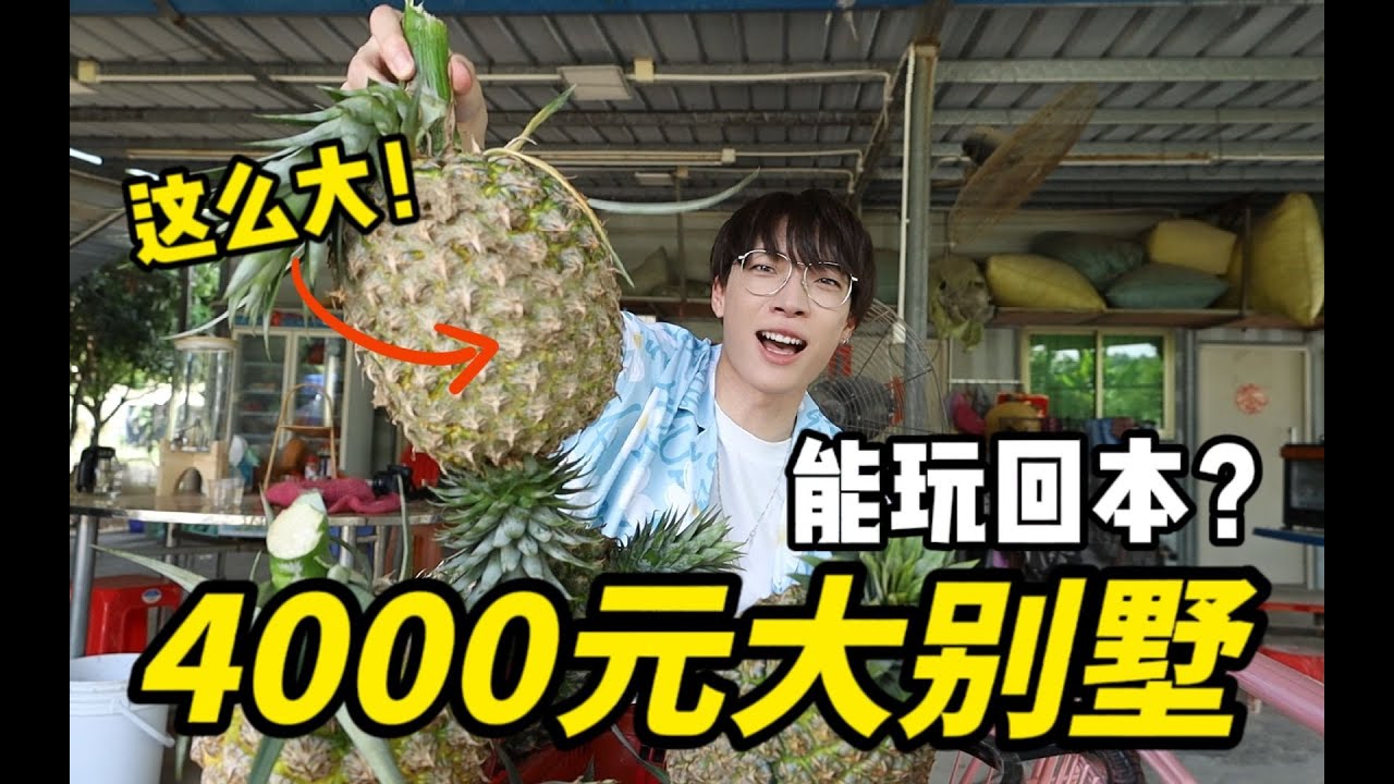 蛋白：体验4000元一天的别墅！我该怎么住才能回本？