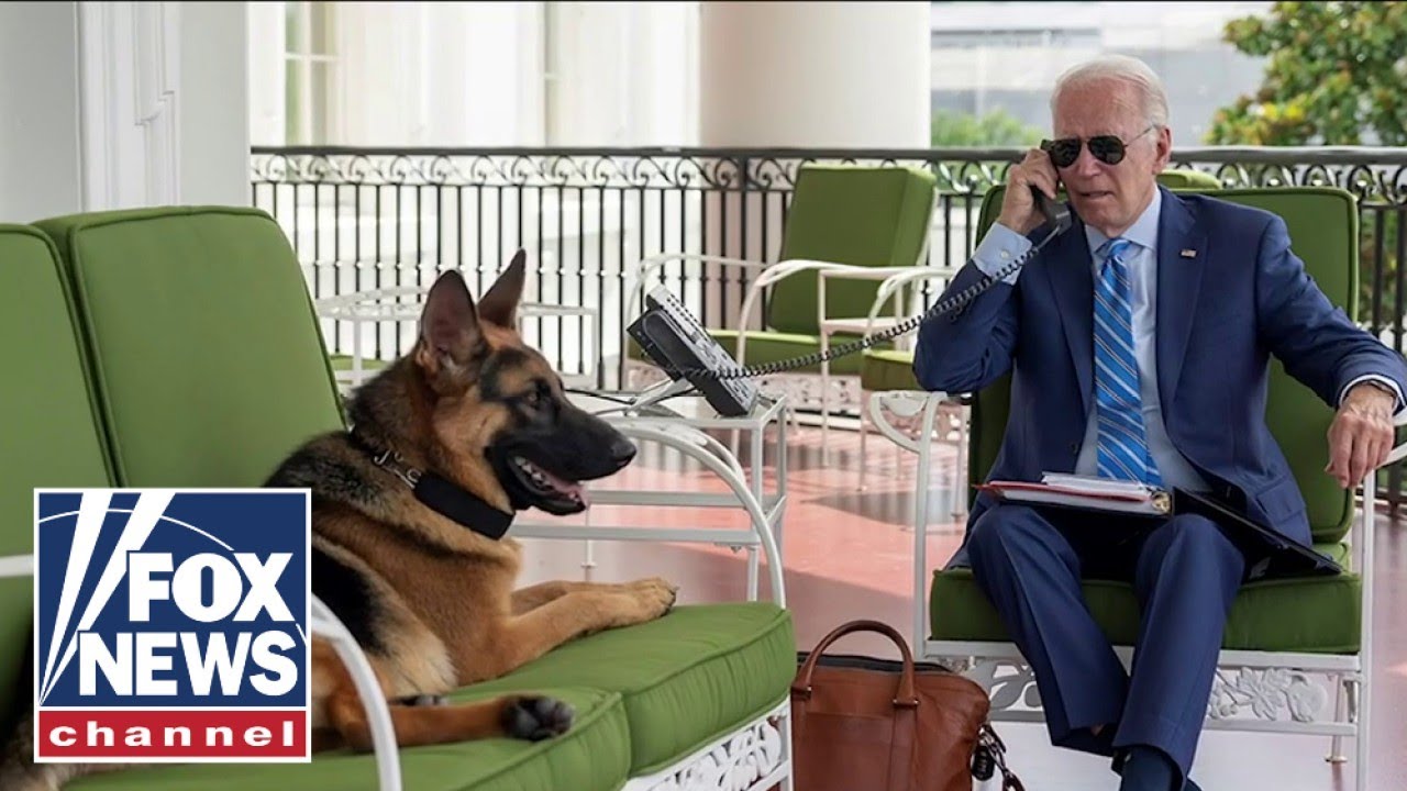 Biden's dog bites another Secret Service agent in 11th known incident