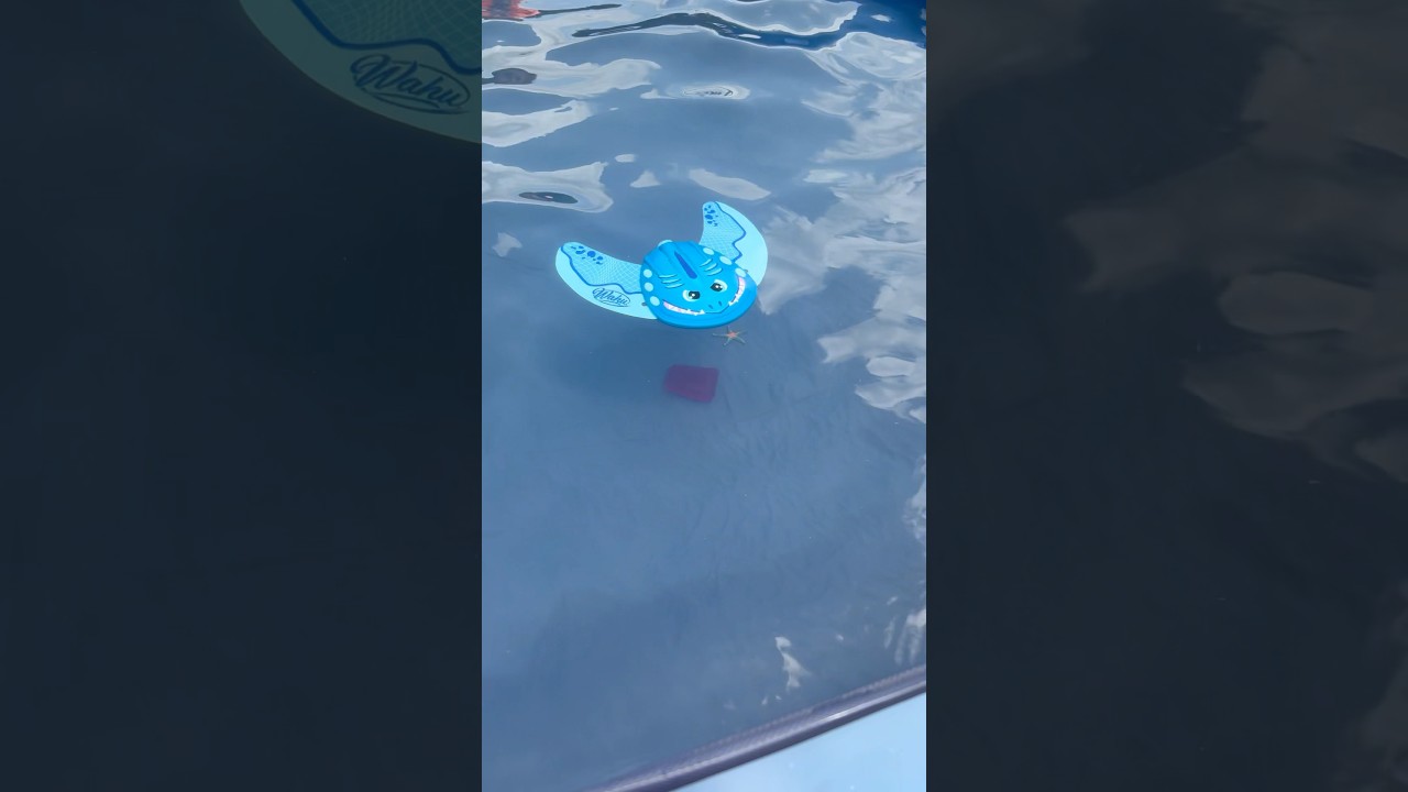 Sea glider pool toys that propel through water themselves!