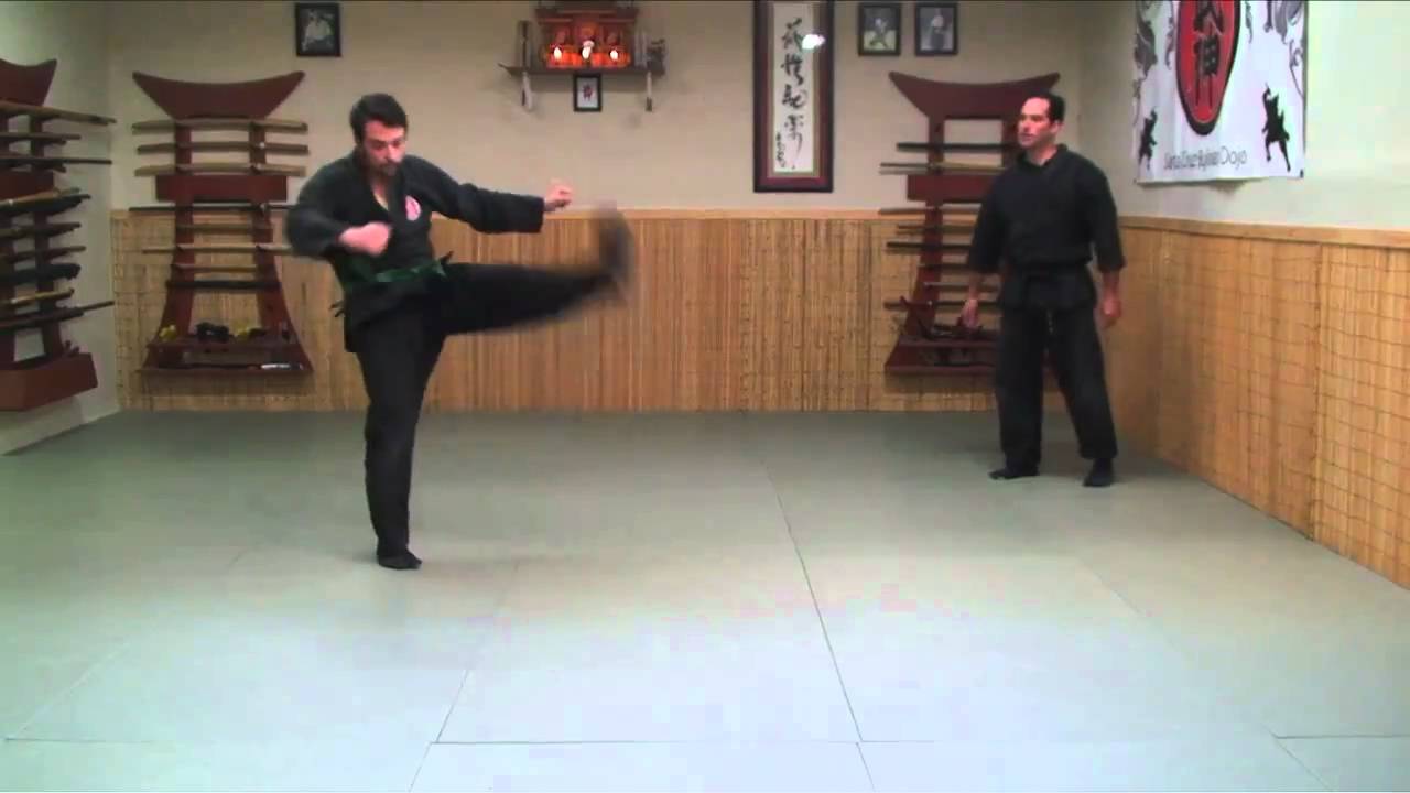 Ninjutsu Training Drill: Keri (Kicks) Ninja Training Video Blog