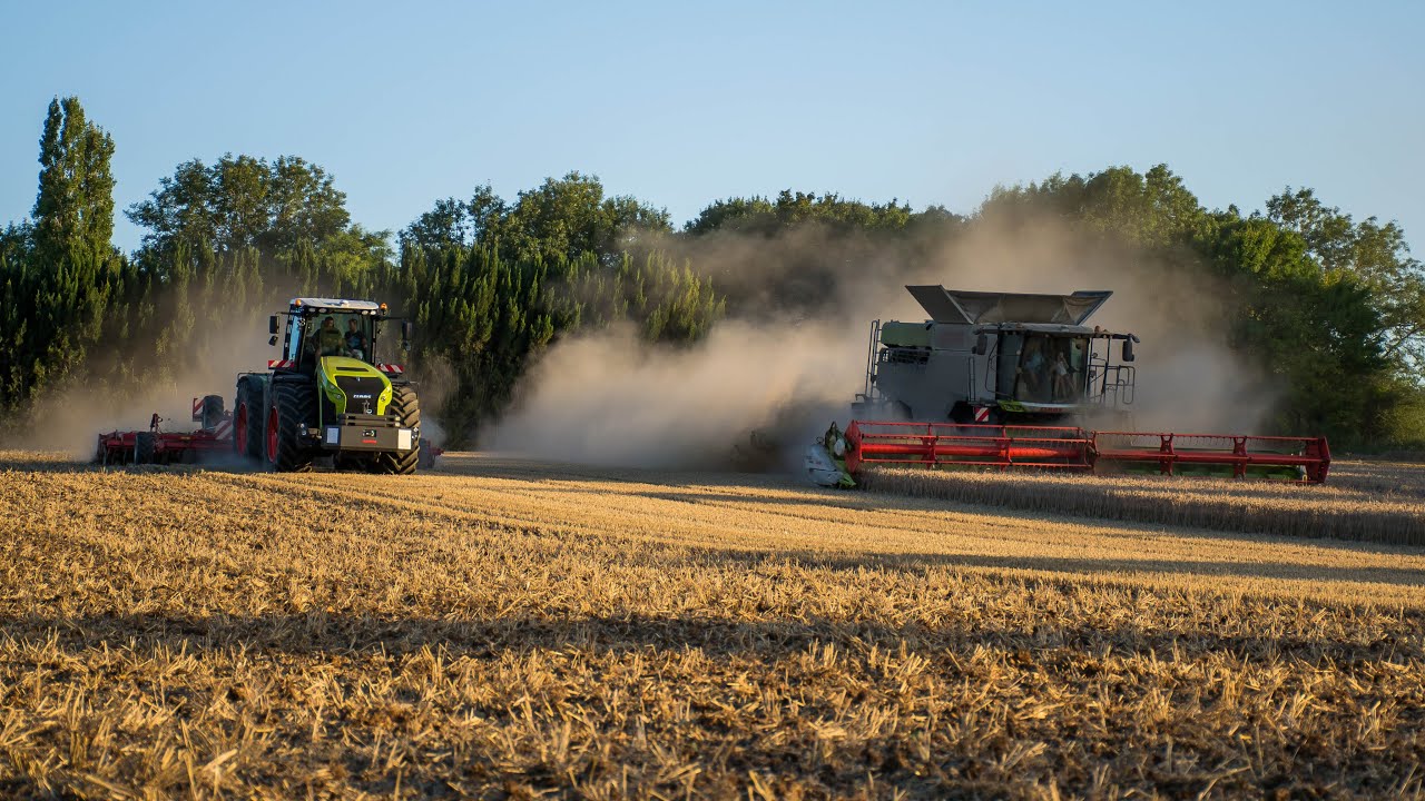 Moisson et déchaumage en Lexion 7700 et Xerion 4200