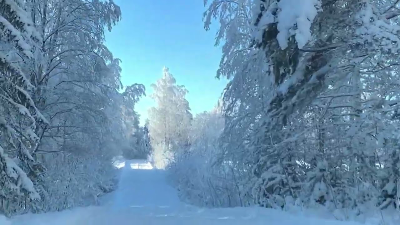 Unser Kulturschock in Finnland Nordkarelien bezüglich der Rolle der Frau