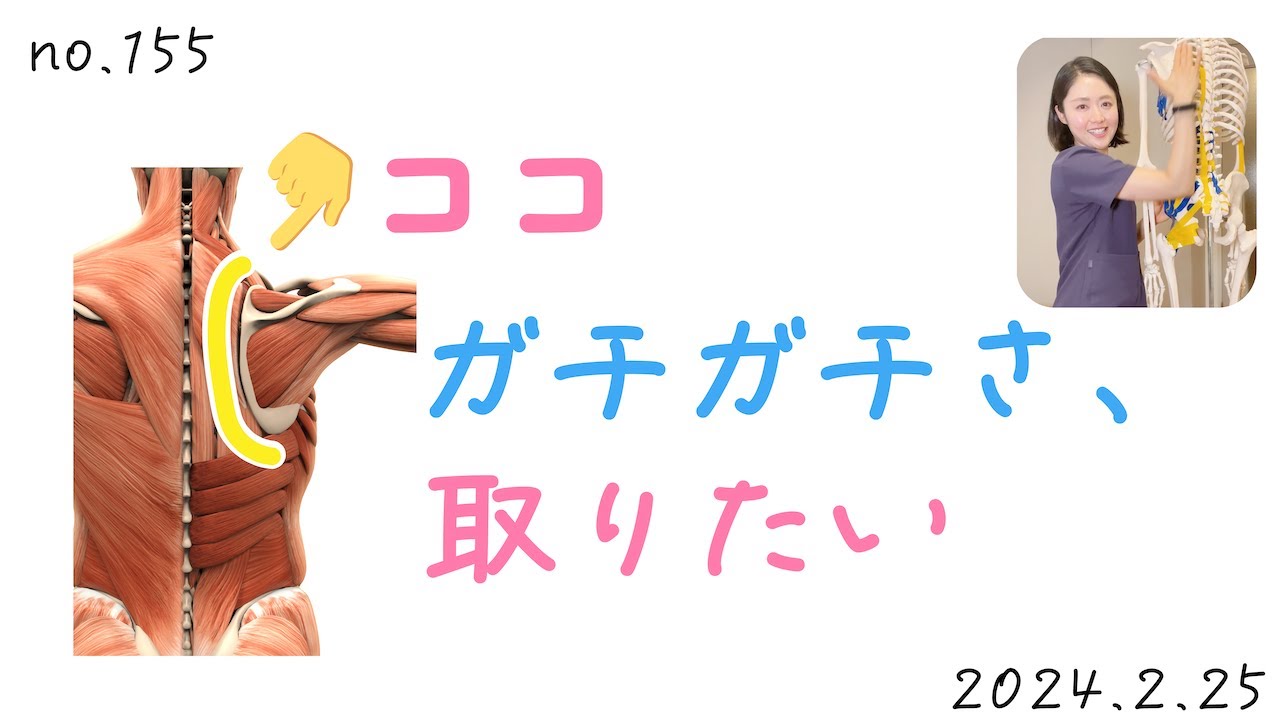 155【肩】菱形筋、僧帽筋。肩甲骨すっきりケア