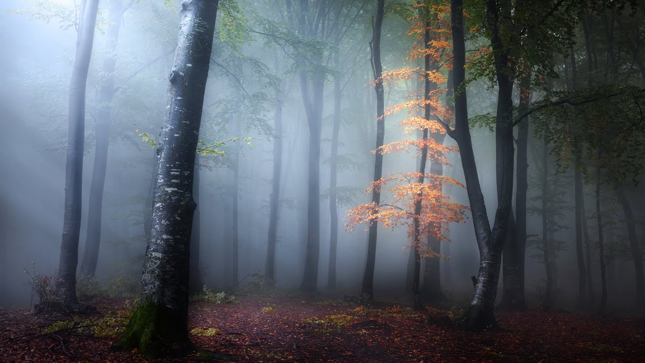 Perfect Photos in ANY Light Situation