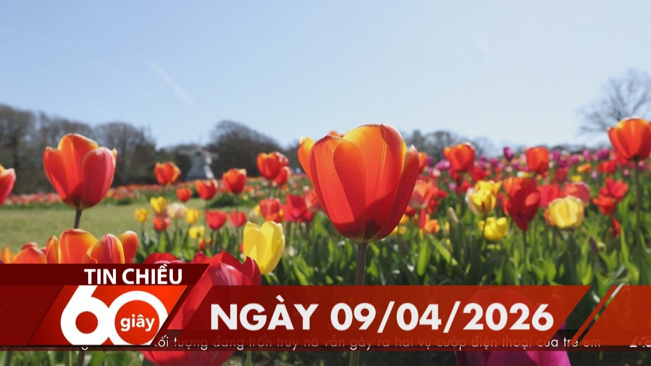 60 Gi&acirc;y Chiều - Ng&agrave;y 09/04/2026 | HTV Tin tức