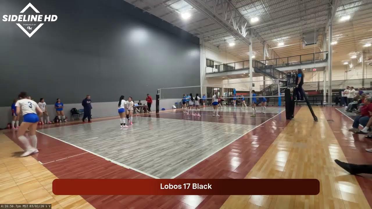 Lobos 17Black (2026.03.01)
