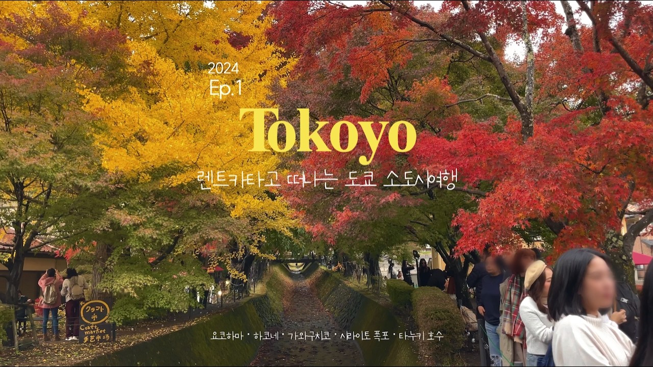 ep. 1 렌트카타고 도쿄 근교 가을여행 | 하코네에서 온천 료칸 후기 | 이런 단풍은 처음이라.. 가와구치고 | 일본의 플리트비체 시라이토 폭포 |  힐링가득 타누키 호수