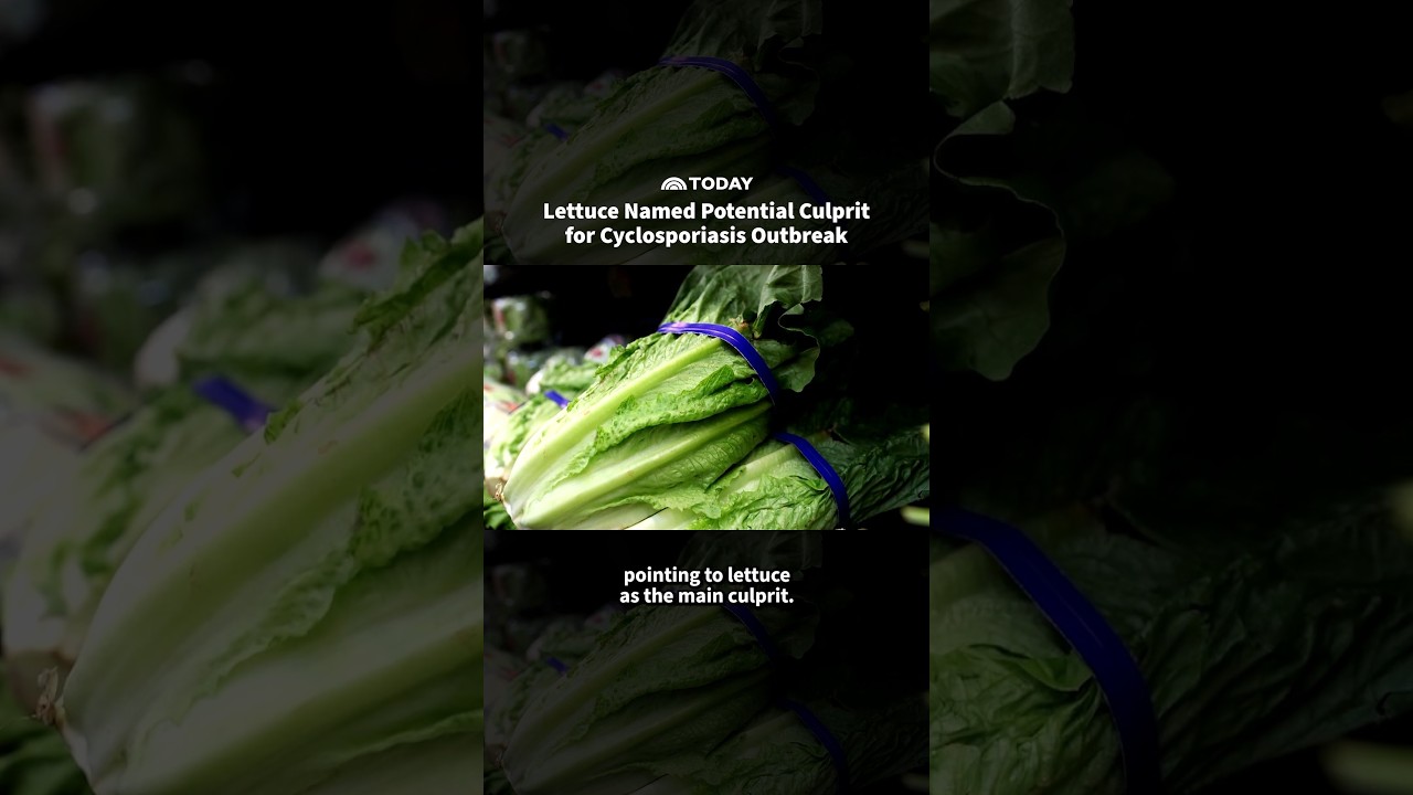 Lettuce Named Potential Culprit for Cyclosporiasis Outbreak