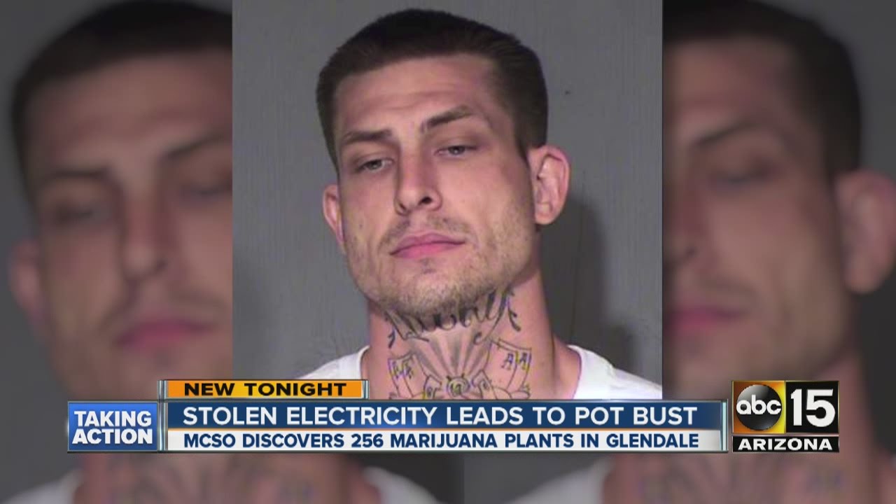 Power theft tip leads to marijuana bust