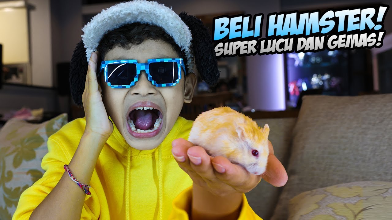 DRAMA BOCIL BELI HAMSTER SUPER IMUT DAN GEMAS!!! MEREKA LANGSUNG MARAHAN WKWKW!!!