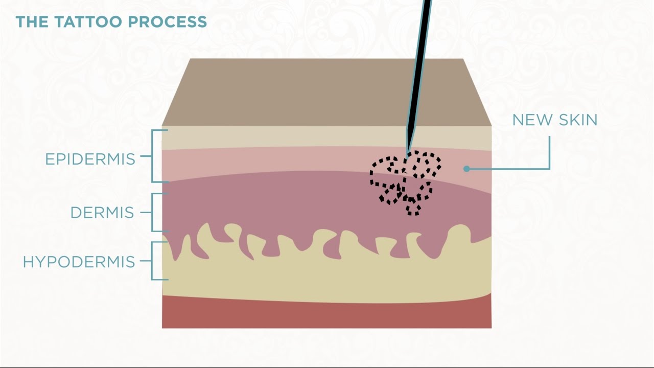 Are Tattoos Toxic? | UConn