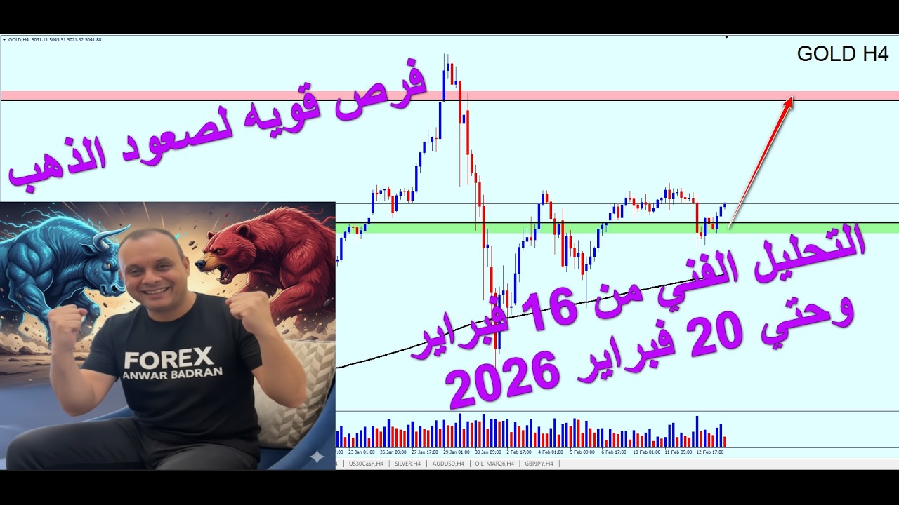 Forex | أهم الفرص والتوقعات من 16 فبراير وحتي 20 فبراير 2026