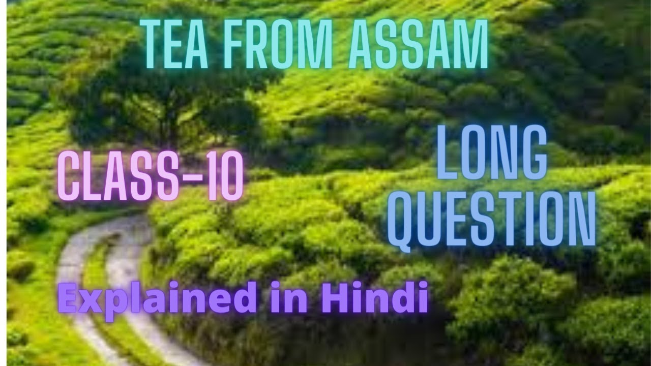 TEA FROM ASSAM//LONG QUESTION/ANSWER//GLIMPSES OF INDIA//FIRST FLIGHT