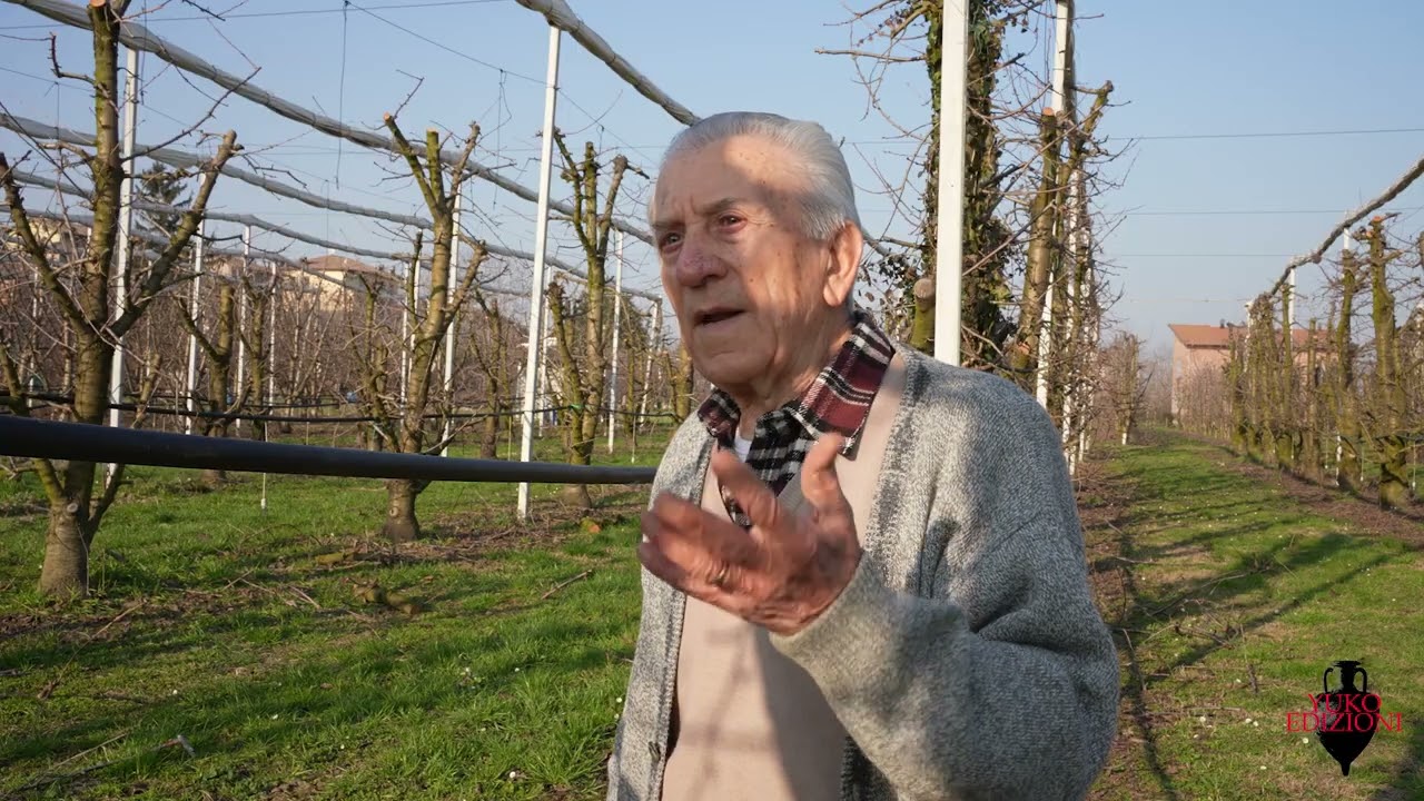 YUKO EDIZIONI POTATURA E FIORITURA CILIEGIA DI VIGNOLA