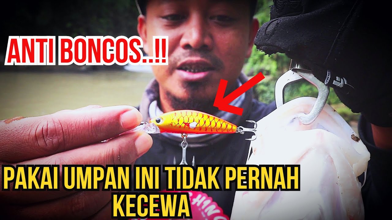 LURE MANTAP BUAT CASTING IKAN HAMPALA || REKOMENDASI BOLLON 3S..!!