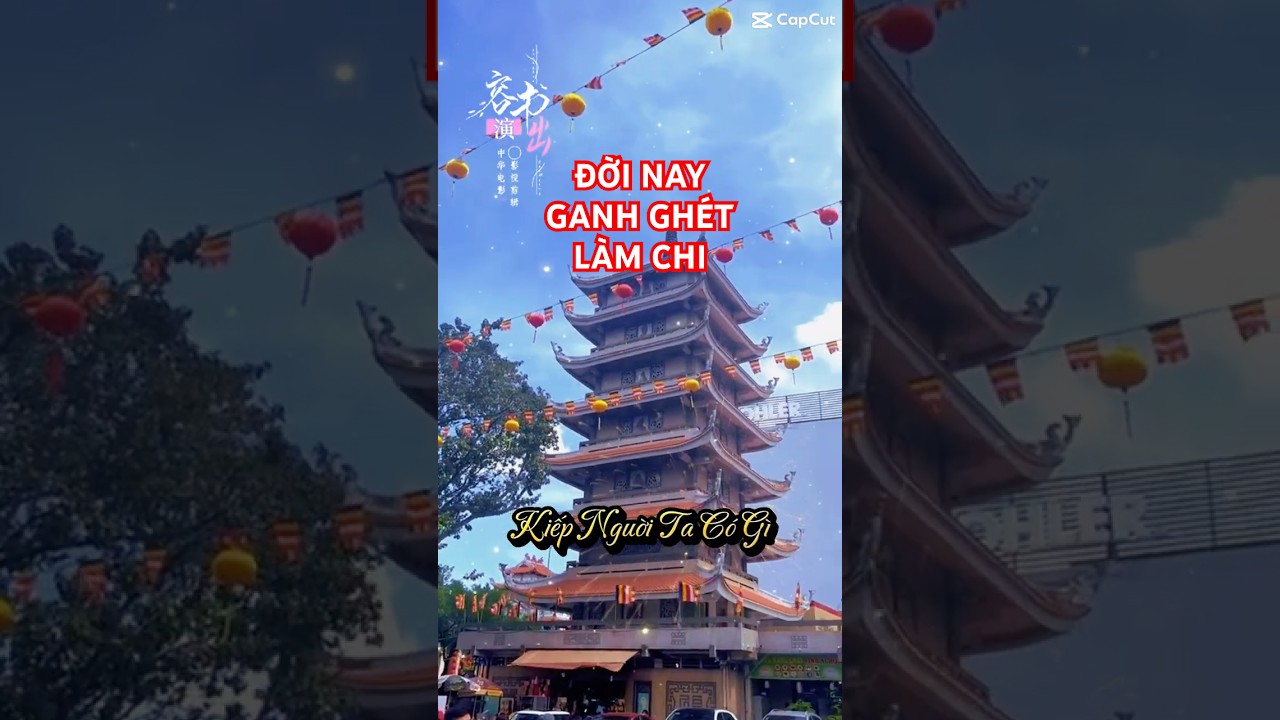 Đời Nay #loiphatday #trietlysong