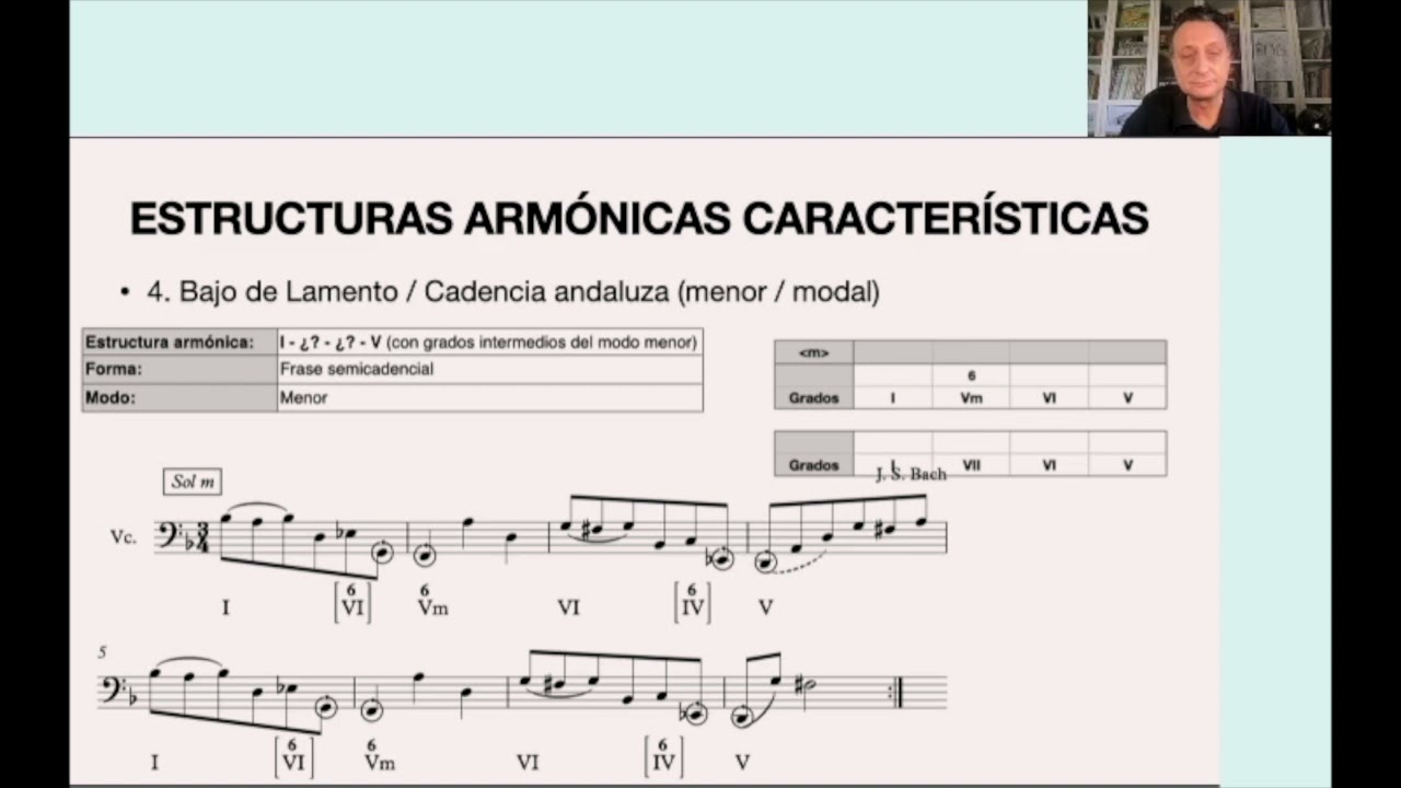 Vademecum visual: 09 Bajo de lamento