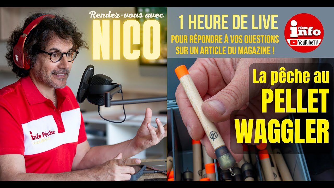 La p&ecirc;che au PELLET WAGGLER
