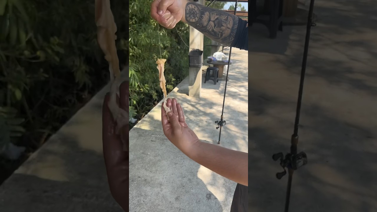 Dica de como iscar a pele de frango🐔 #pescaria #pescaesportiva #youtubeshorts #pesca #dicasdepesca