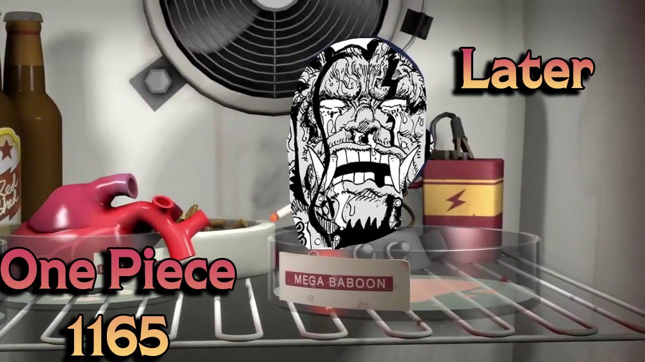Please end it! One Piece Chapter 1165 Summary