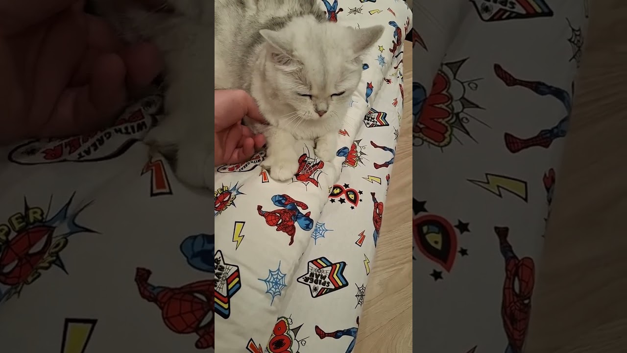 🤯😡УКУСИЛА..,УШЛА ПО АНГЛИЙСКИЙ ☄️🌪‼️