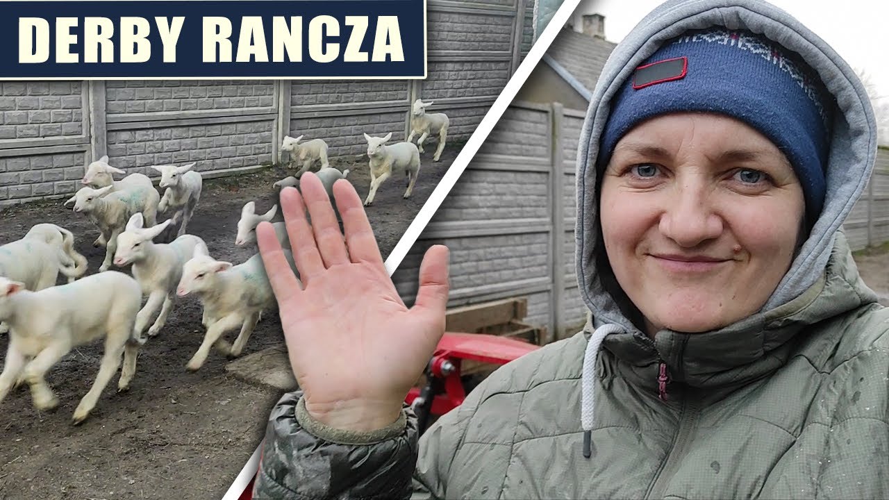 Derby Rancza