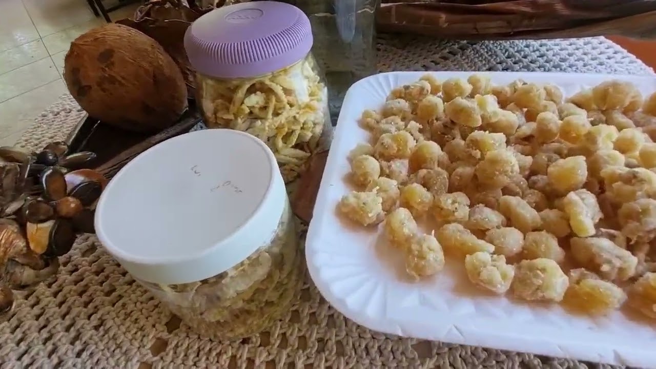 Fazendo artesanato com coco seco