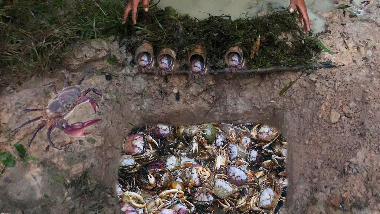 Top 5 video 2022 Amazing Man Make 5 Fish Trap Crab Trap & Eel Trap in Cambodia