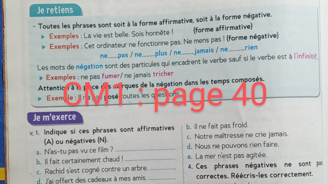 CM1 : Grammaire : Les formes de phrases page 40 . Le trésor des mots