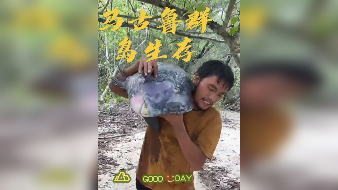 #野外求生 #野外生存 #新年快乐 听说在评论区打新年快乐会有惊喜！