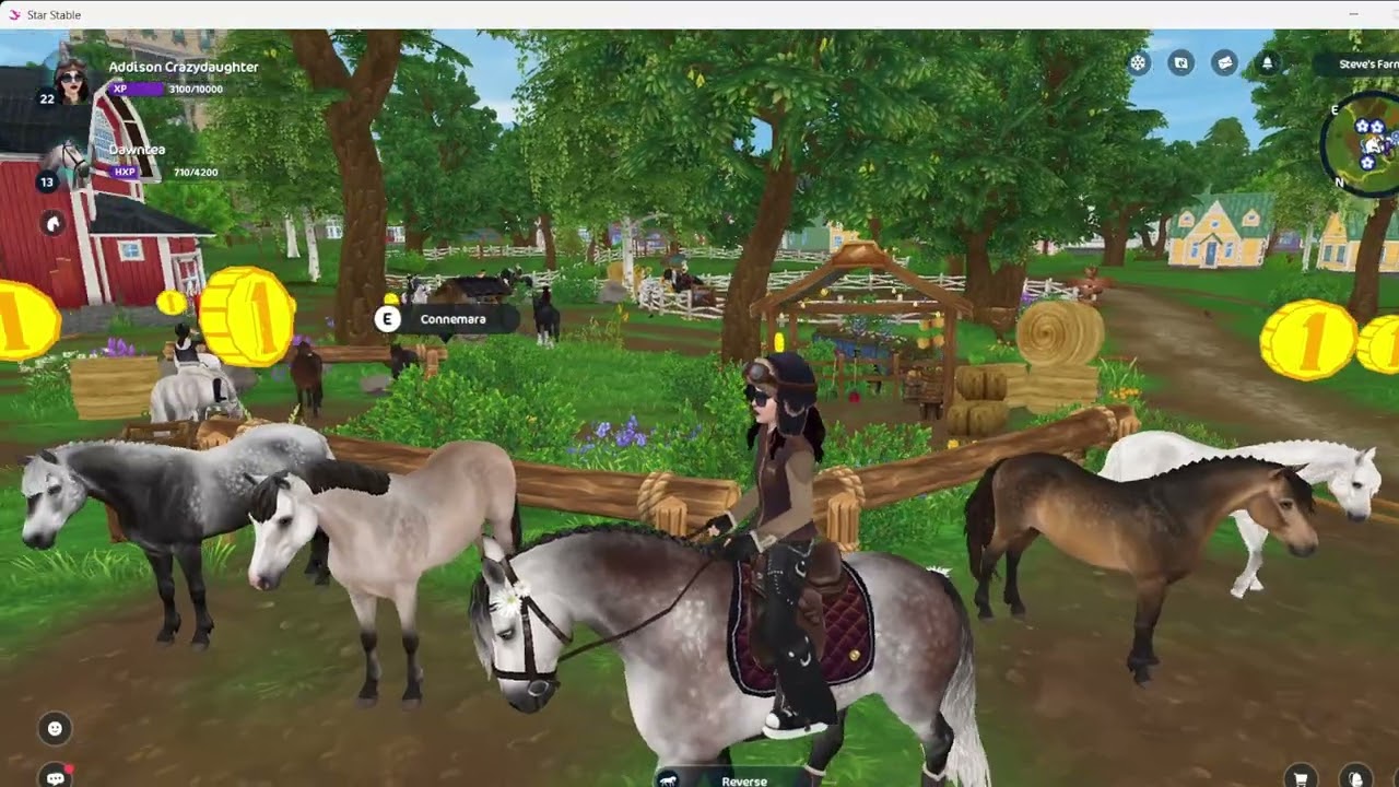 buying the connemaras after a month of not posting... YAY- // star stable online