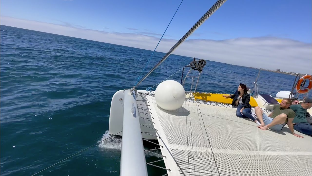 Quiberon Belle-Ile à la voile : décarbonation du transport passagers maritime par Iliens